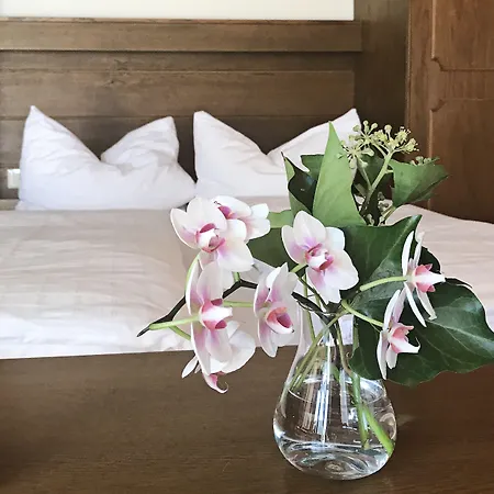 Apartmenthaus Jagdhof Apartmán *