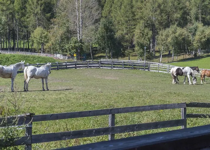 Apartmenthaus Jagdhof * Reith bei Seefeld