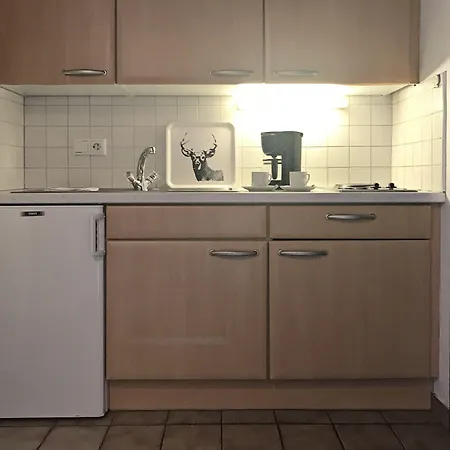 公寓 Apartmenthaus Jagdhof