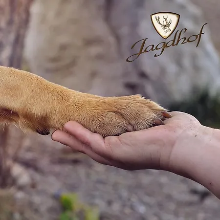 Apartmenthaus Jagdhof